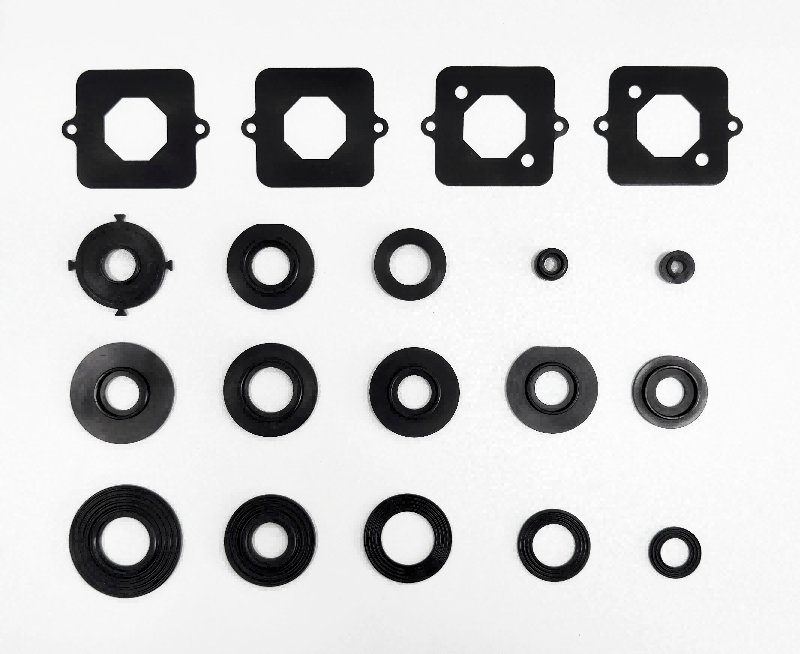 hydrogen fuel cell vehicle seals hydrogen fuel cell vehicle seals