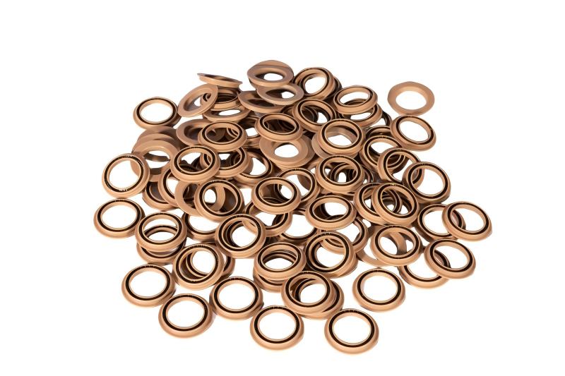 Spring Energized Seal