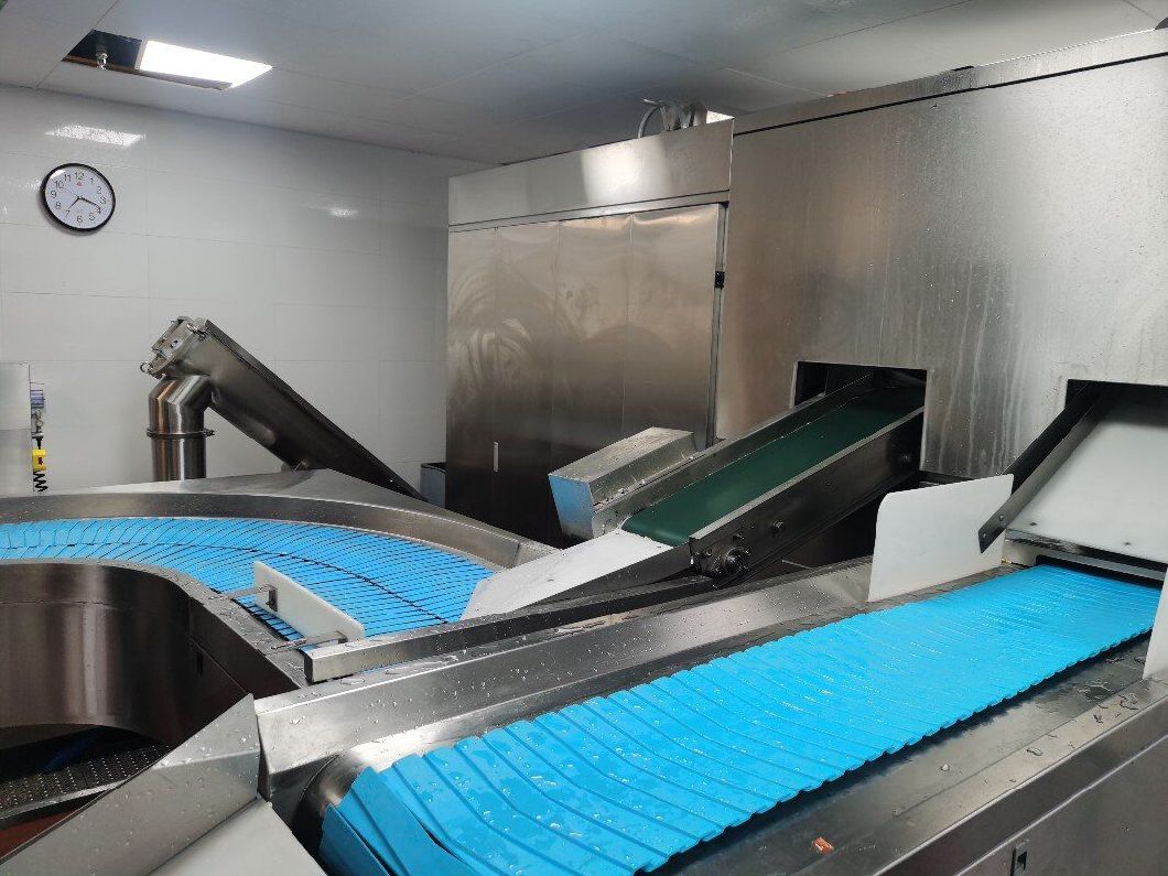 Fully Automatic Disinfection and Sorting Line