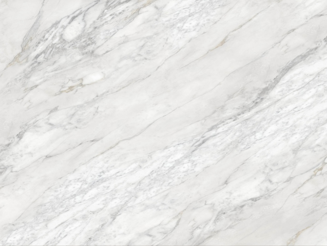 Luxury Printed Black Vein White Quartz