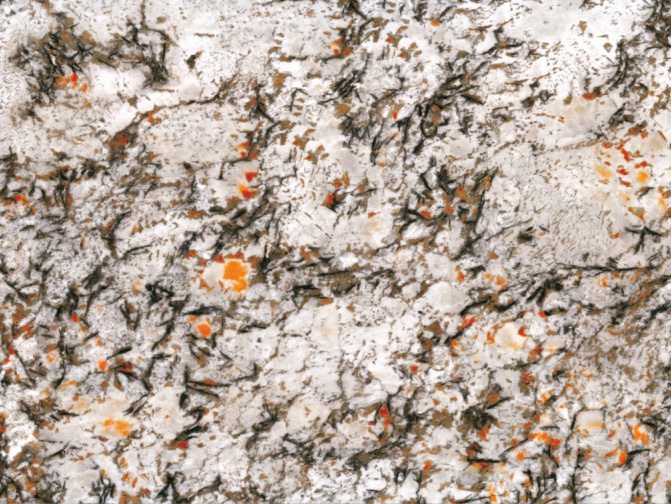 High-End Printed White Quartz