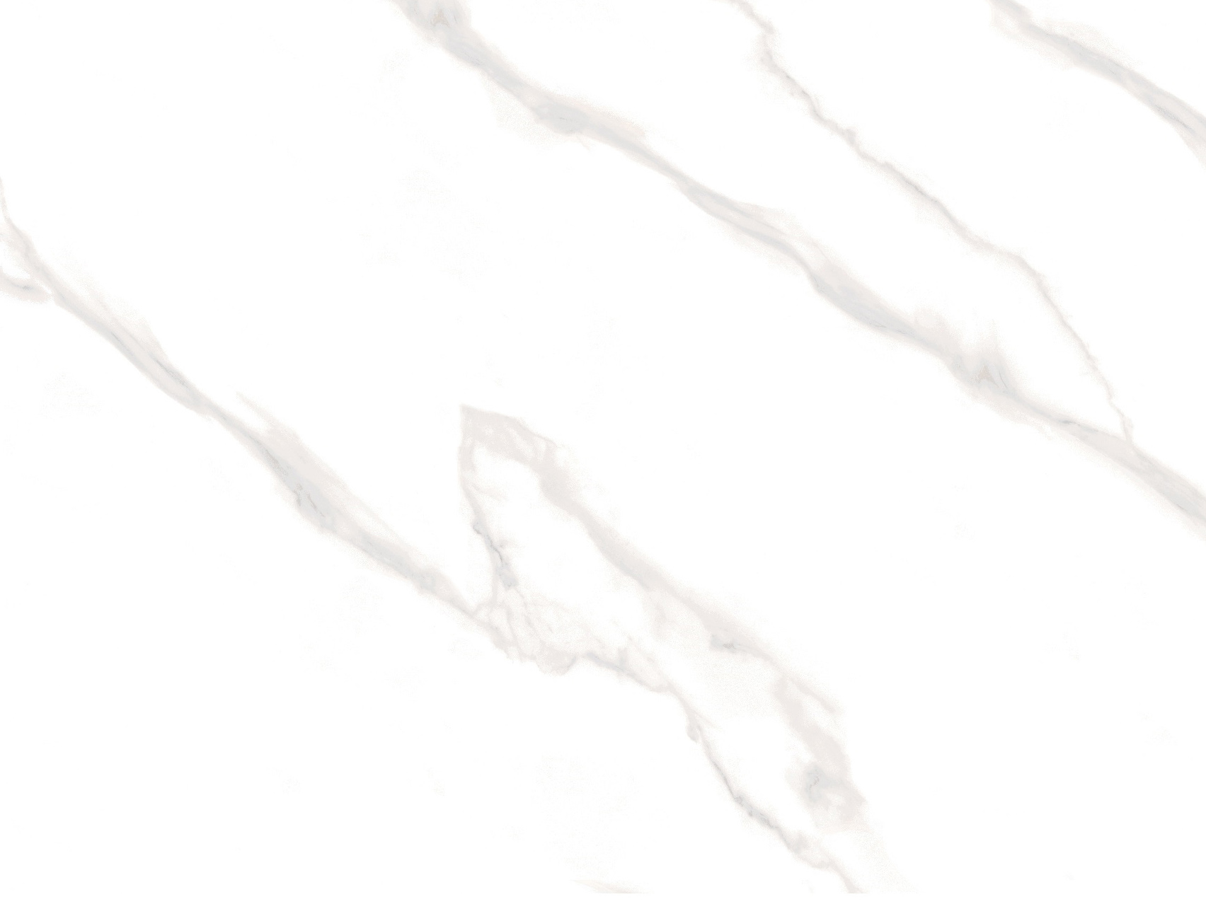 New Calacatta White