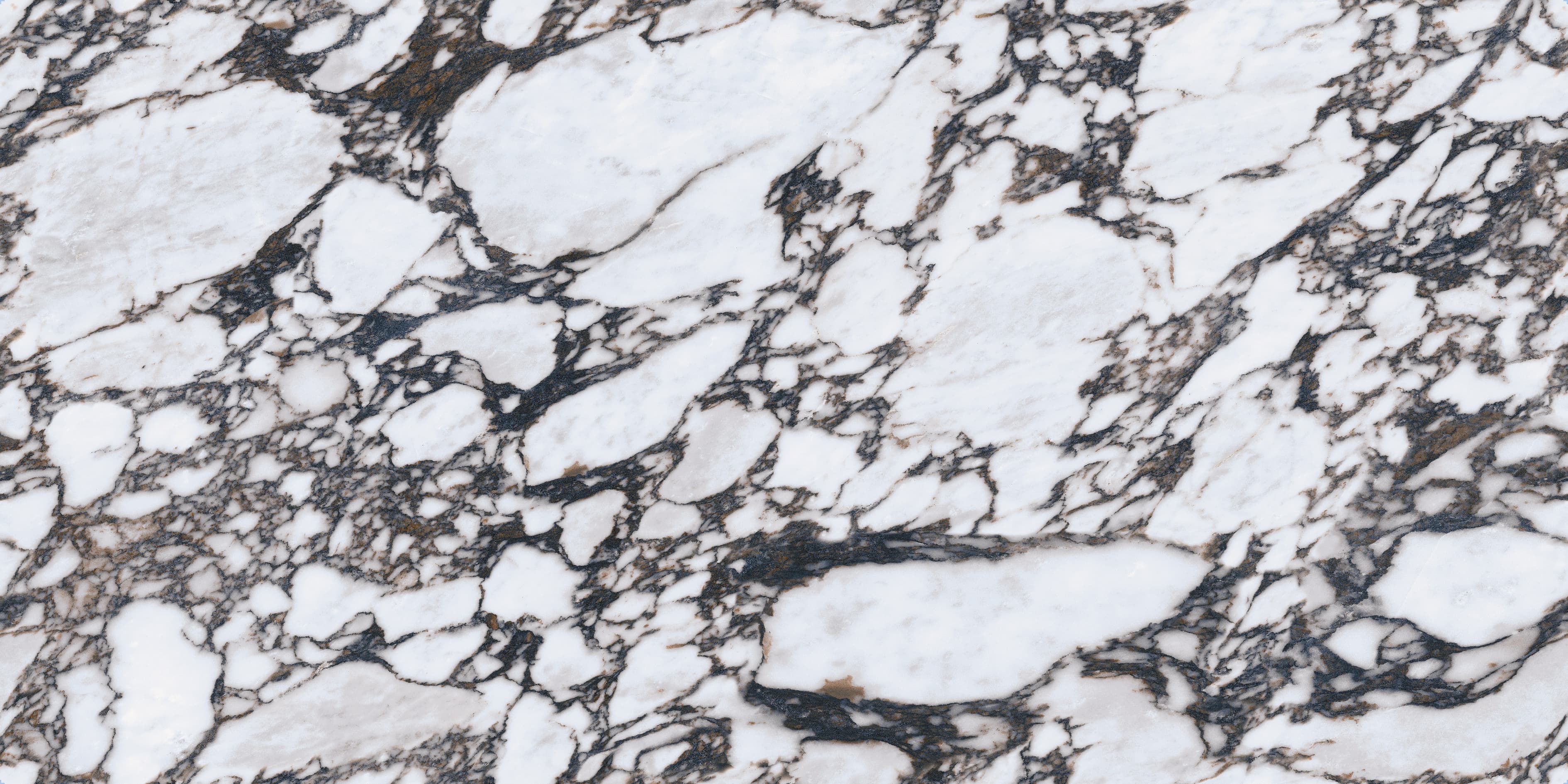 Anti-Fouling Compact Sintered Surface