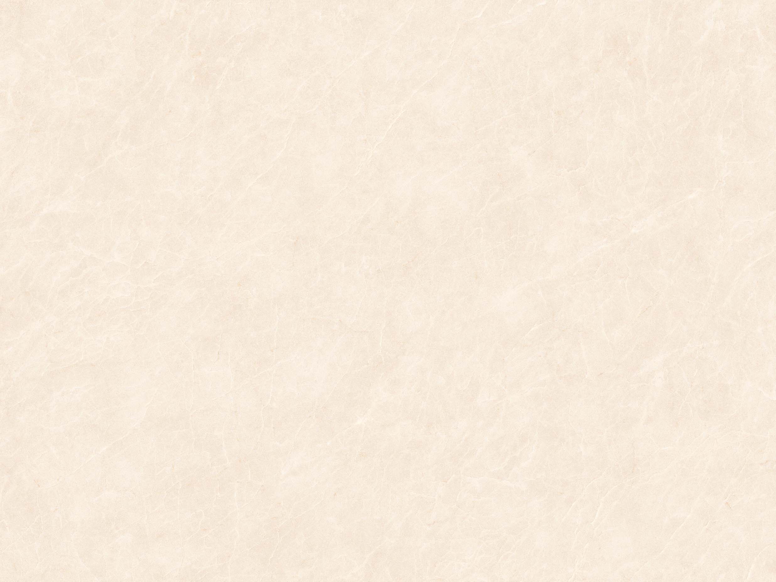 Magnolia White