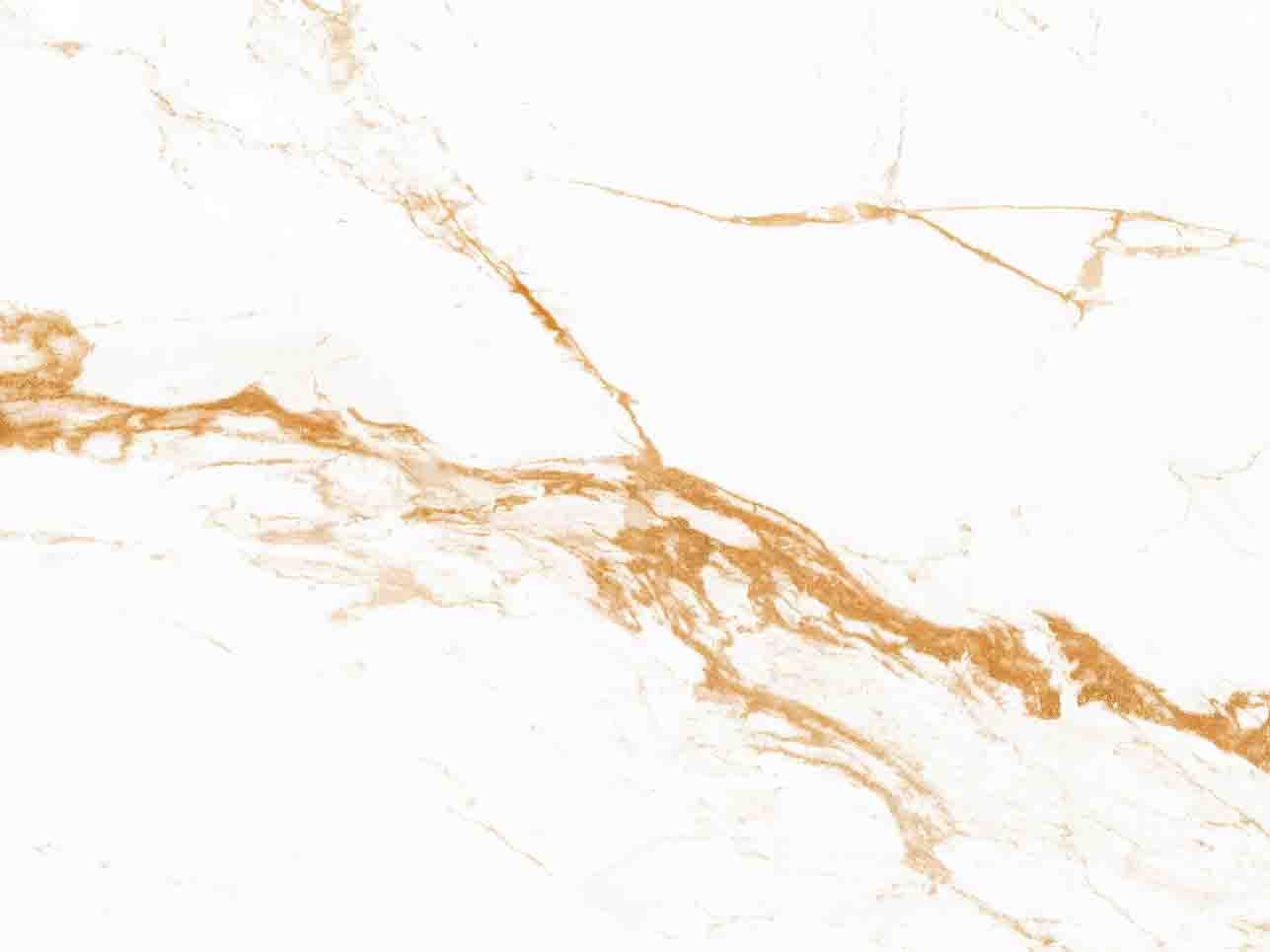 Premium Calacatta Gold Sintered Stone