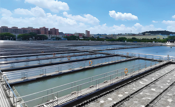 Dongguan Zhangcun Water Purification Plant Dongguan Zhangcun Water Purification Plant