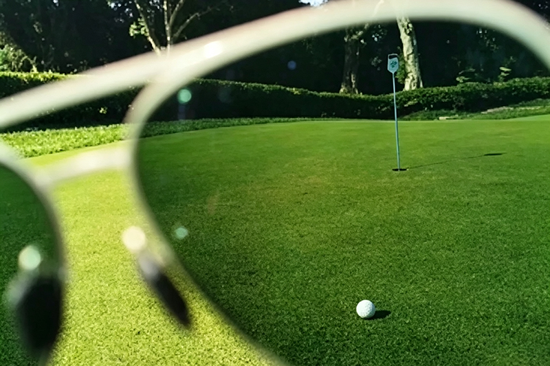 UV400 Polarized Golf Sport Lenses