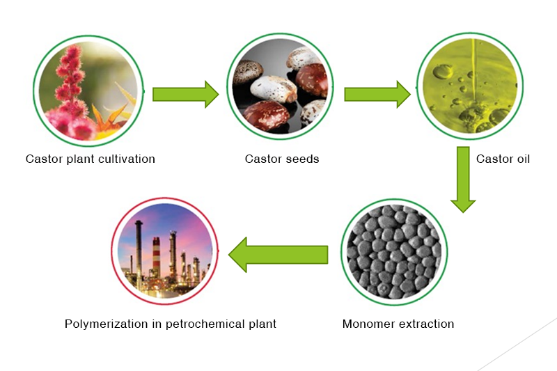 Biobased Lenses Sustainable Optical Eyeglass Lens Material
