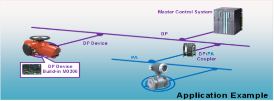 DP Module