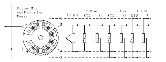 Fieldbus Temperature Module