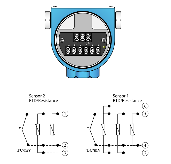 FF H1 temperature transmitter