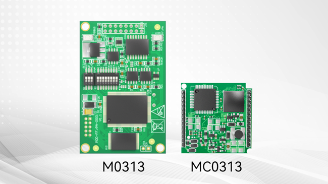 M0313 Modbus to FF Protocol Converter Module