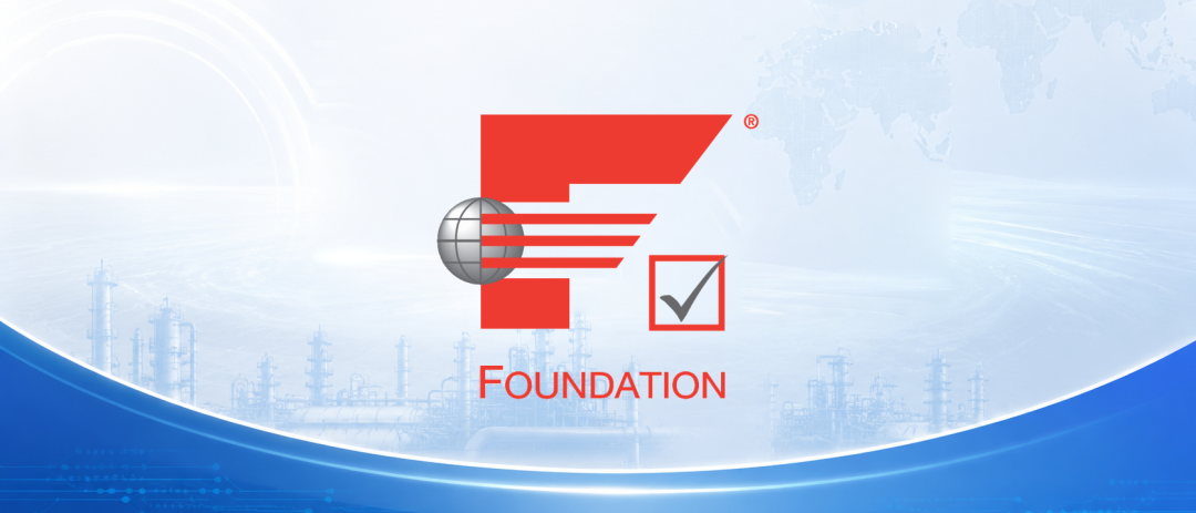 FOUNDATION FieldbusFOUNDATION Fieldbus FOUNDATION FieldbusFOUNDATION Fieldbus