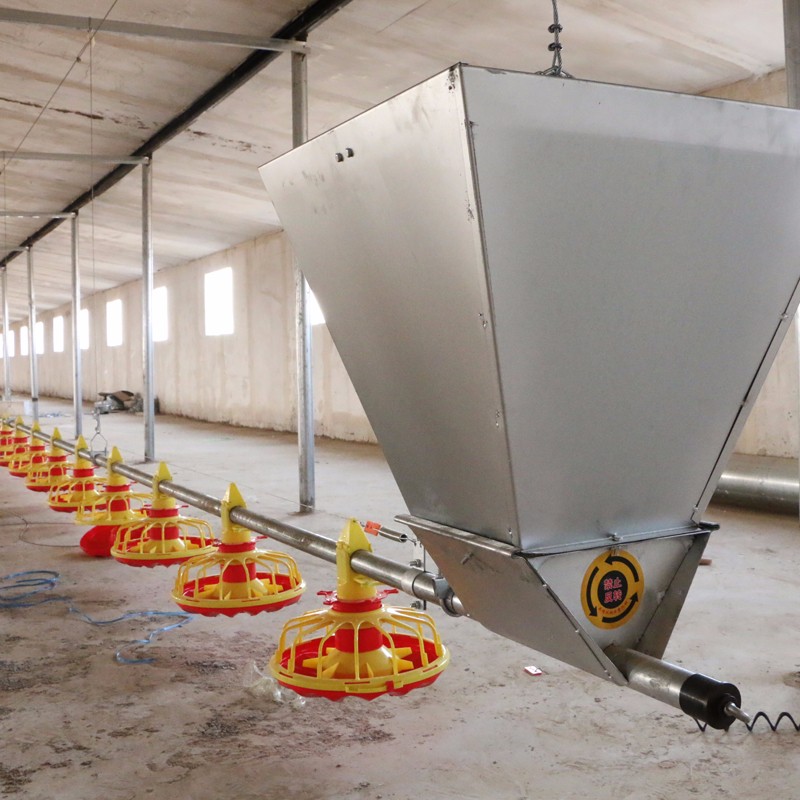 Automatic Chicken Drinkers And Feeders Factory Suppliers