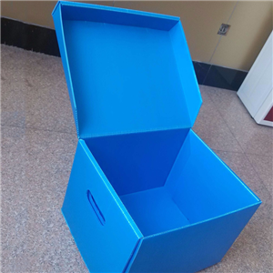 PP foglio di imballaggio del contenitore