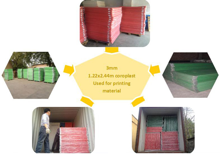 PP corrugated sheet