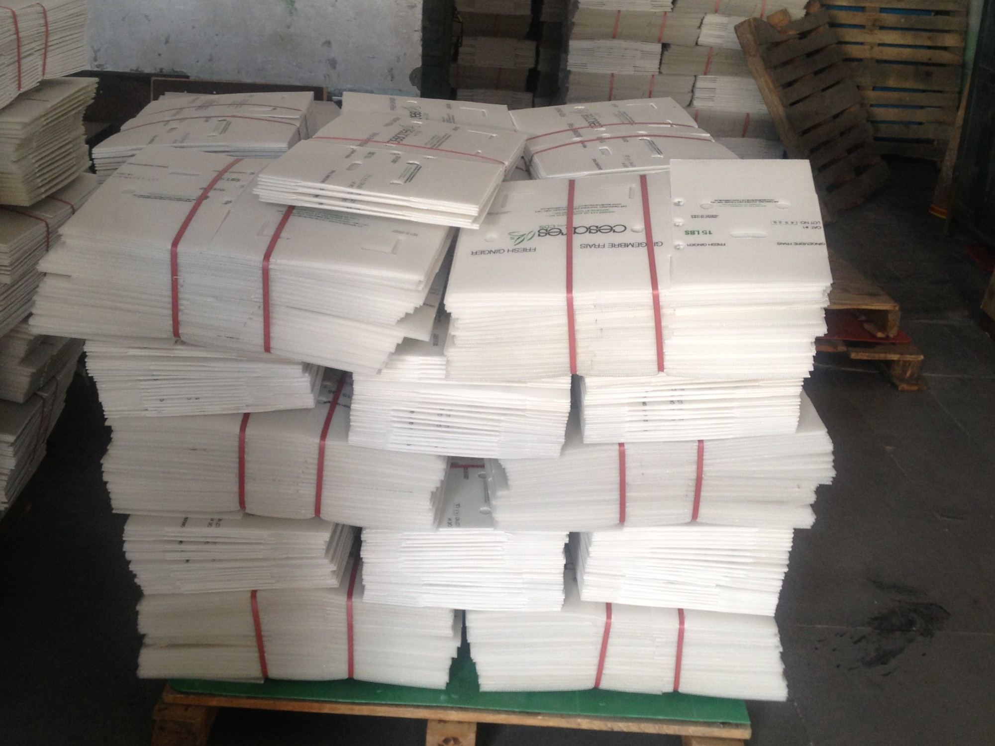 Китай pp белые листы гофрированного картона в Китае Alands PLastic, производитель