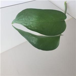 แกะสลักเลเซอร์อะคริลิแผ่นกระจกสีทองและสีเงิน