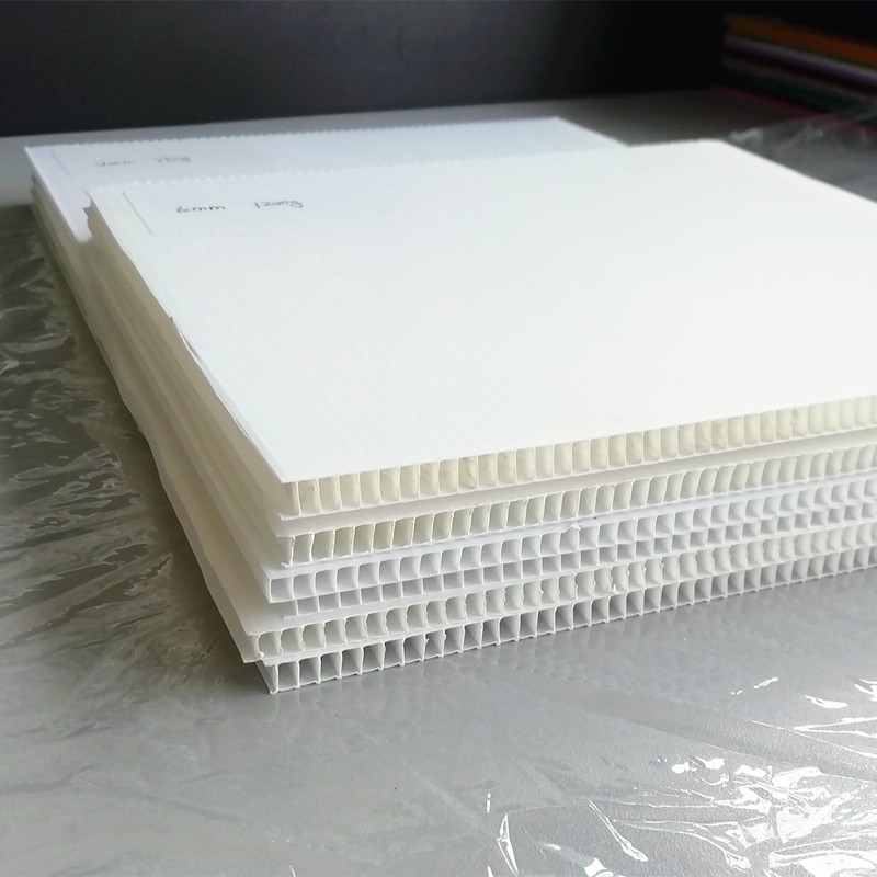 China factory polypropylene PP hollow board correx plastic sheet