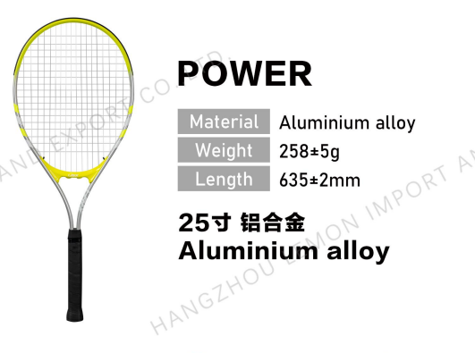 Alu Tennis Racket POWER