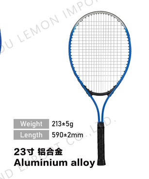 Alu Tennis Racket Blue and White 23'