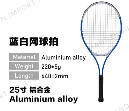 Alu Tennis Racket Blue and White 25'