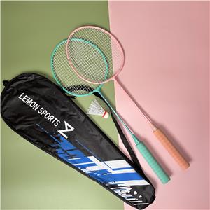 Hot sales Badminton Racket NOVICE 112