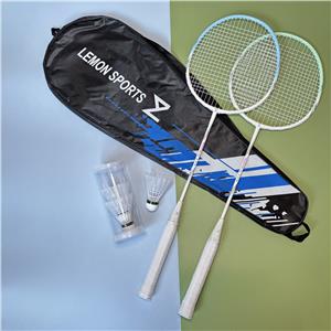 Hot sales Badminton Racket NOVICE 115