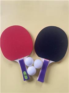 table tennis racket T613