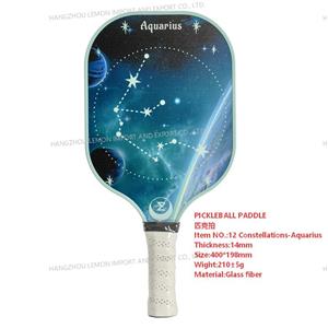 PICKLEBALL PADDLE 12 Constellations-Aquarius