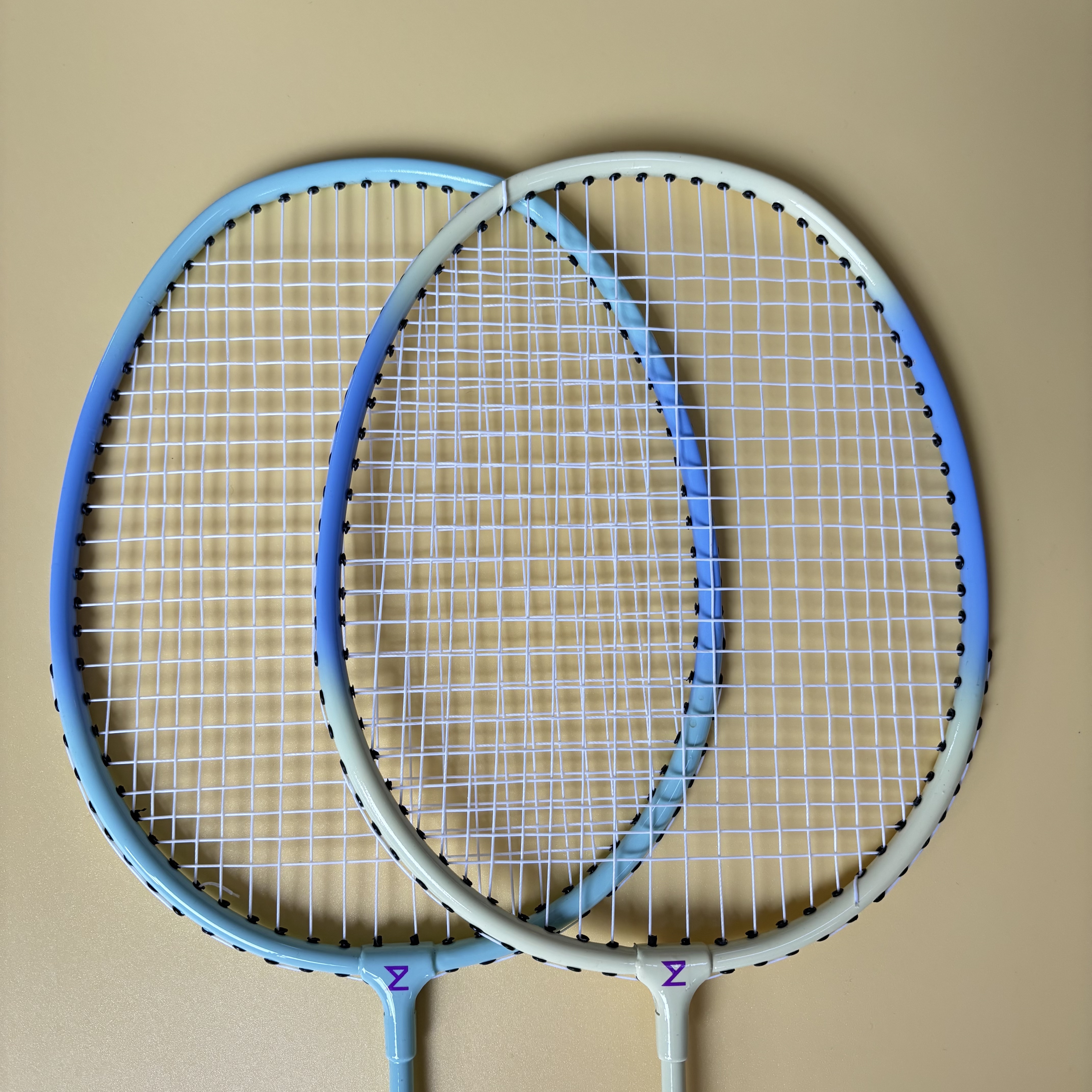 Hot sales Badminton Racket PLAYER 222
