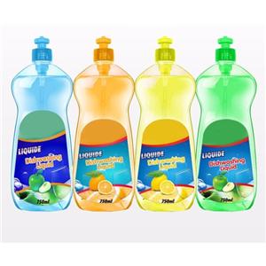 600g dish washing liquid detergent