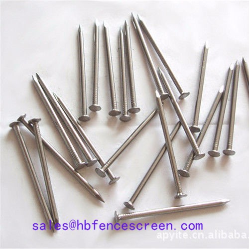 Supply Common wire nails, Common wire nails Factory Quotes, Common wire nails Producers