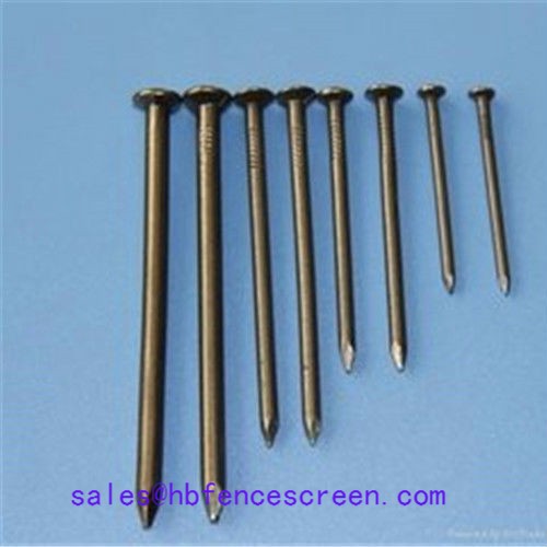 Supply Common wire nails, Common wire nails Factory Quotes, Common wire nails Producers