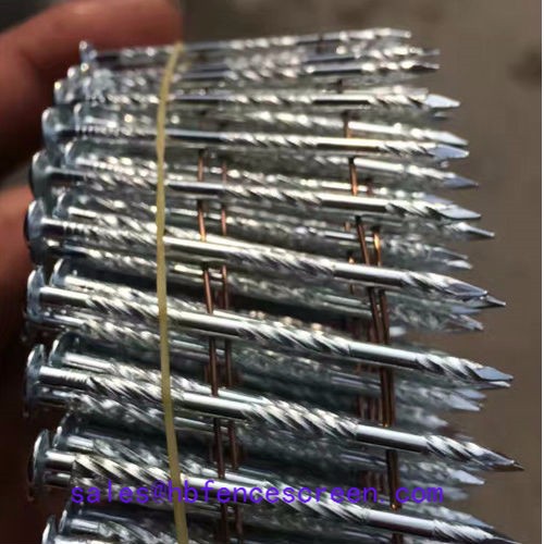 Supply Coil nails, Coil nails Factory Quotes, Coil nails Producers