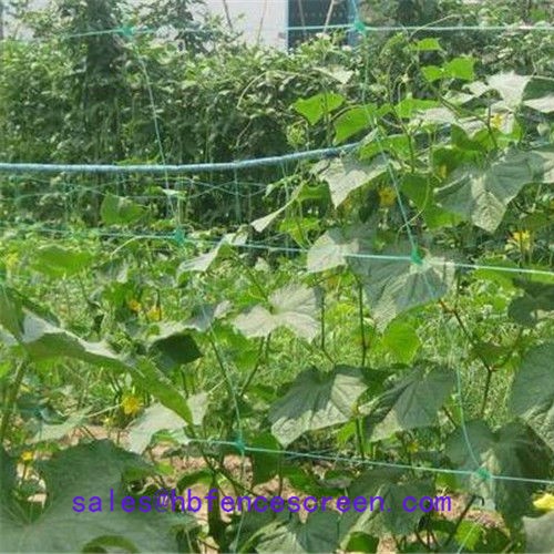 Supply Plant Support Net, Plant Support Net Factory Quotes, Plant Support Net Producers