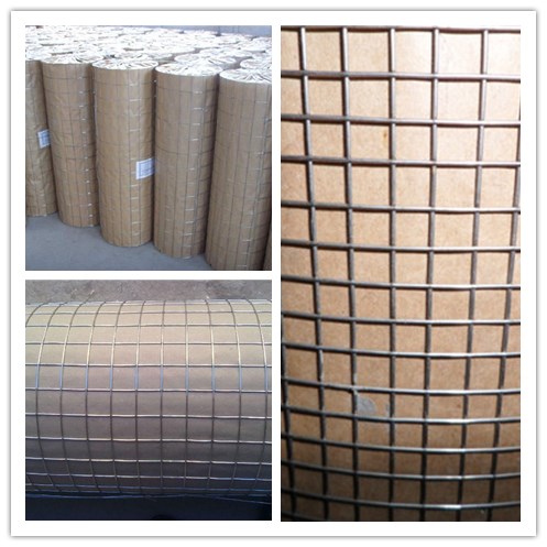 Galvanized Square welded wire mesh fence