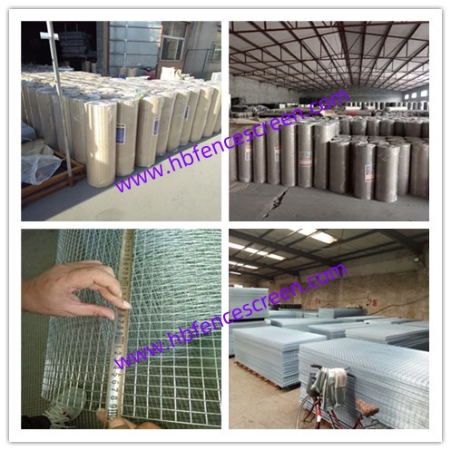 Galvanized Square welded wire mesh fence