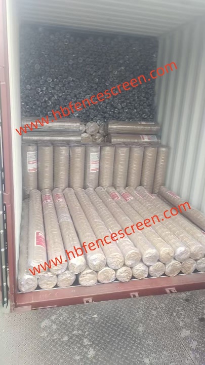 Galvanized welded mesh