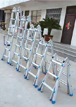 Multi-Purpose Ladder