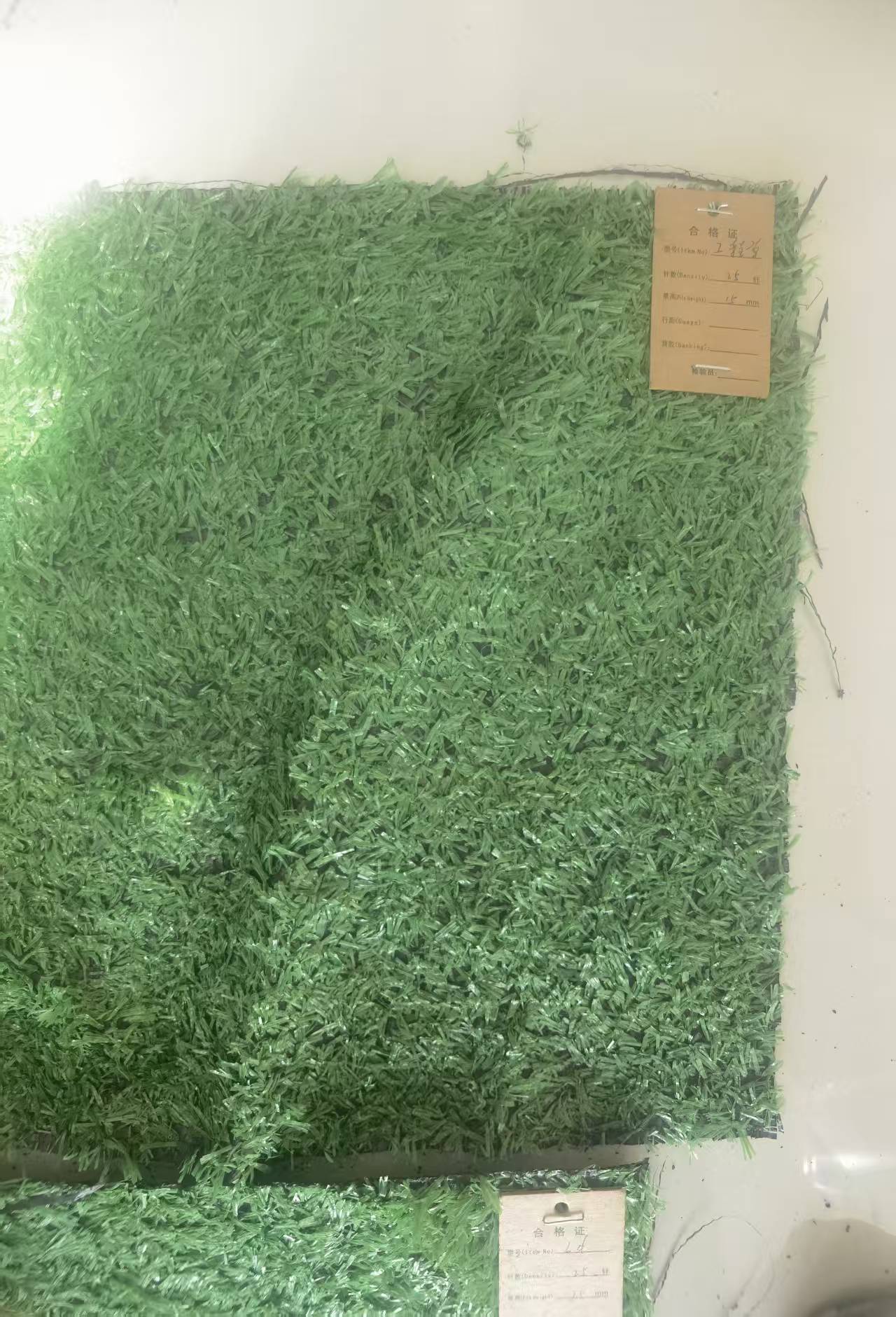 Wire Mesh Fence