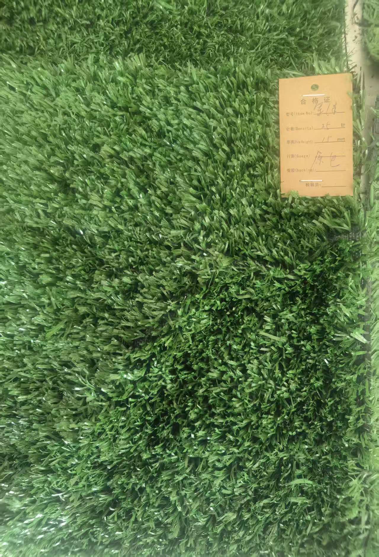 Wire Mesh Fence