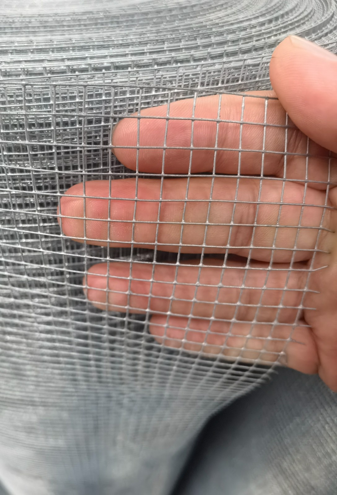 Galvanizedwelded wire mesh