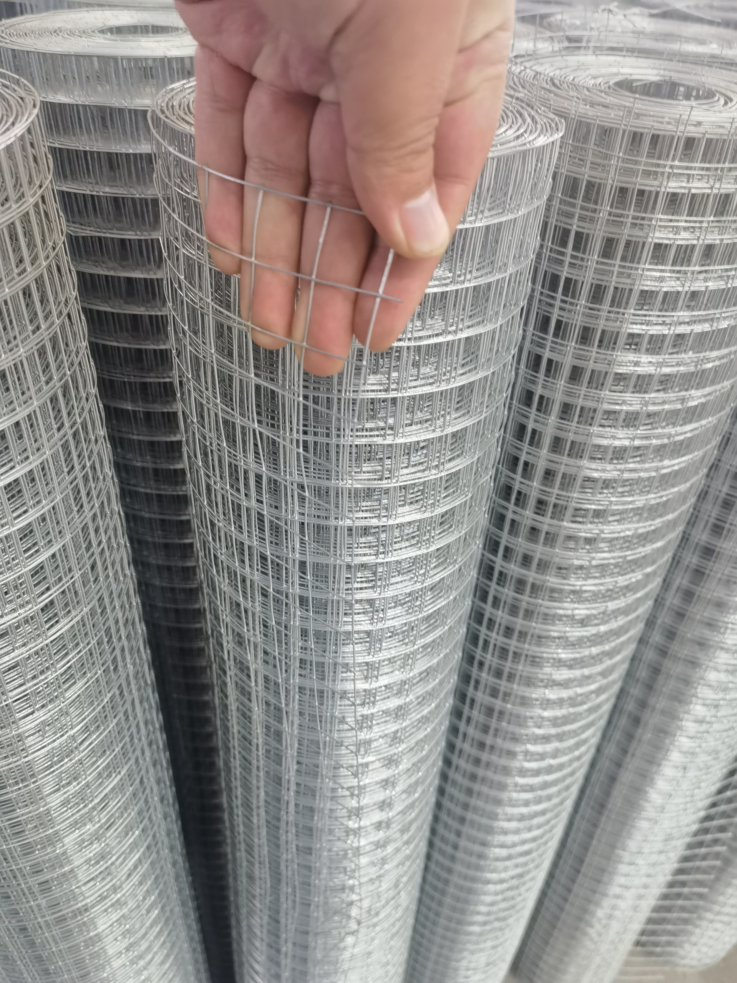 Supply Galvanized Welded Wire Mesh, Galvanized Welded Wire Mesh Factory Quotes, Galvanized Welded Wire Mesh Producers