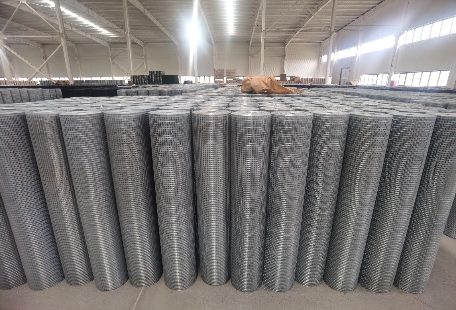 Galvanized Welded Wire Mesh