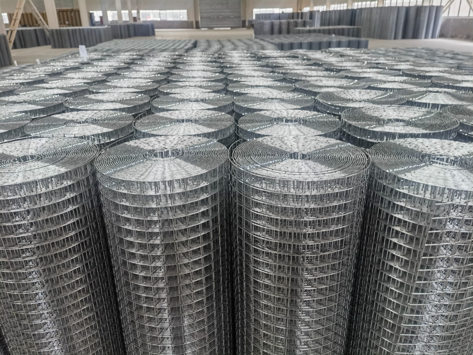 Galvanized Welded Wire Mesh