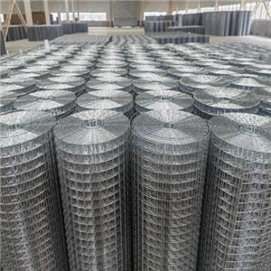 Galvanized Welded Wire Mesh