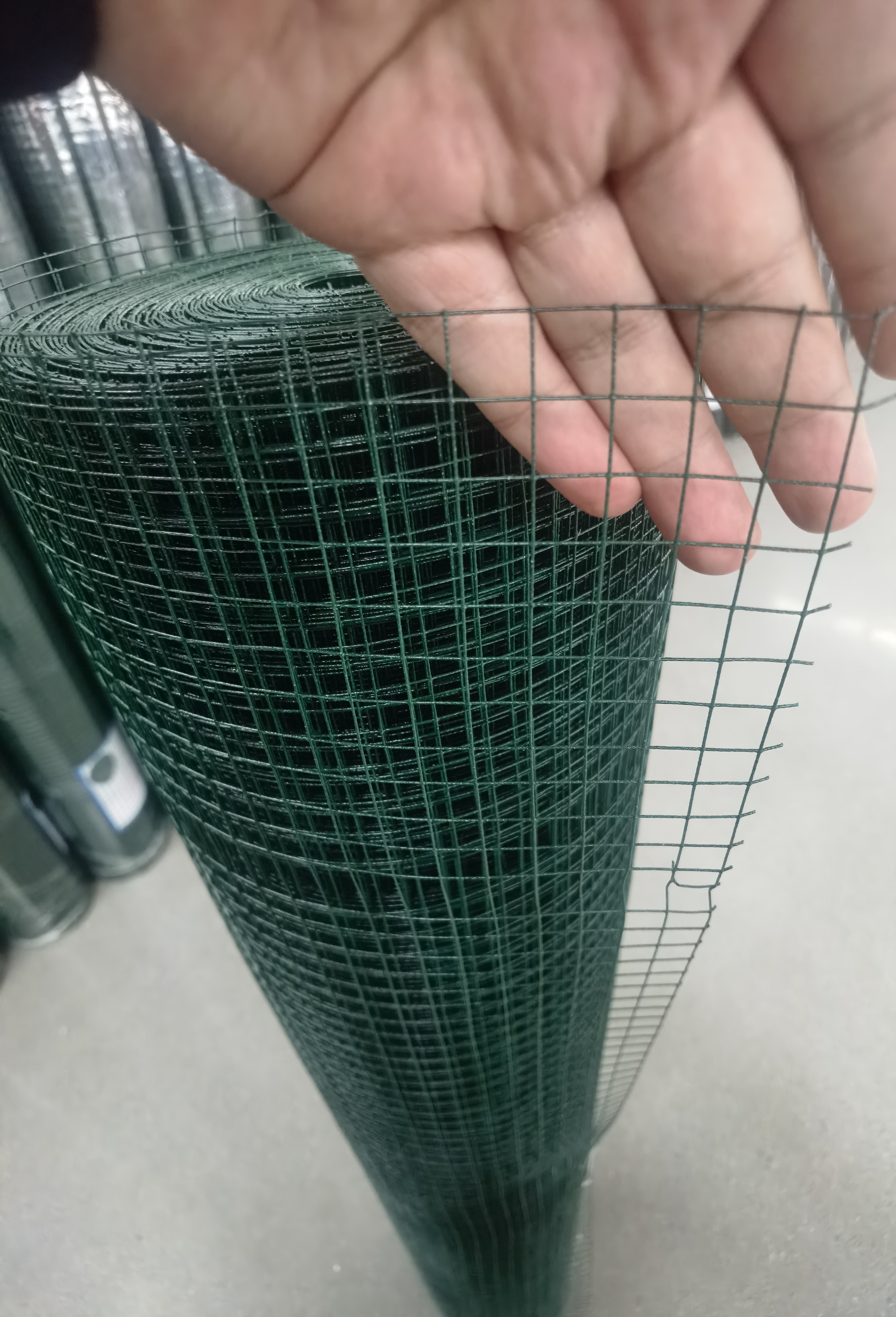 Supply PVC coated welded wire mesh, PVC coated welded wire mesh Factory Quotes, PVC coated welded wire mesh Producers
