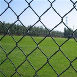 Chain link fence