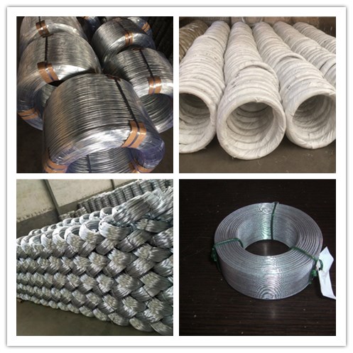 Galvanized Welded Wire Mesh